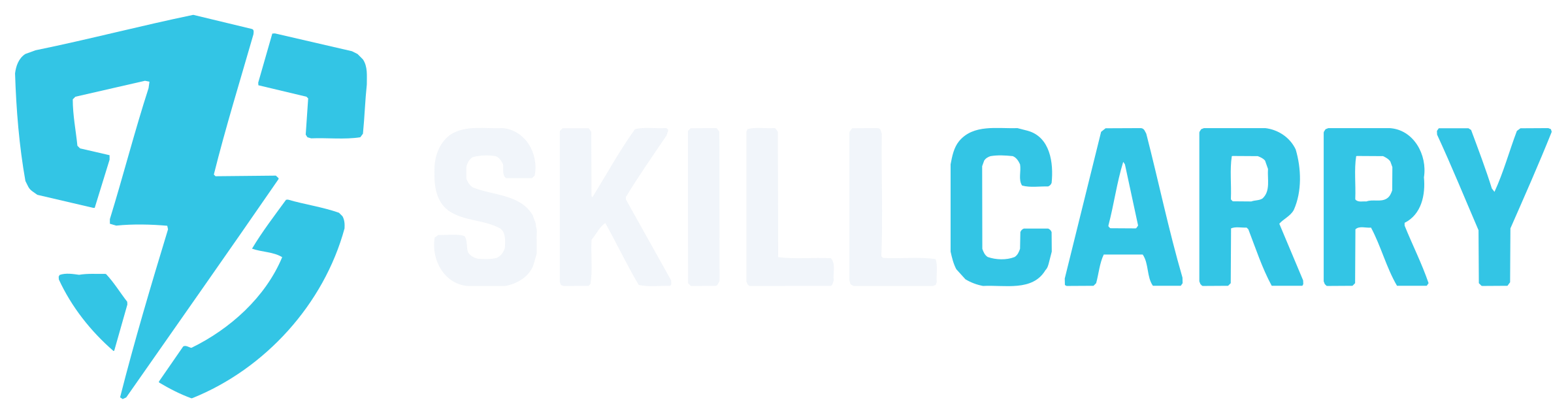 SkillCarry