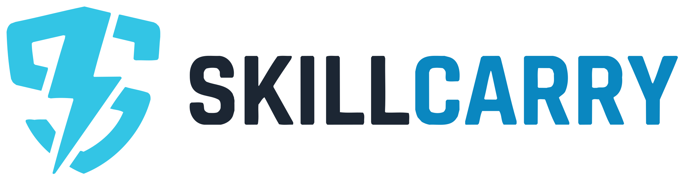 SkillCarry